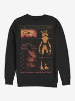 Stranger Things Hawkins Lab Sweatshirt