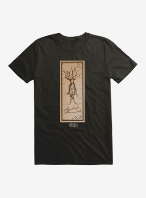 Fantastic Beasts Herbology Mandrake Marmalade T-Shirt