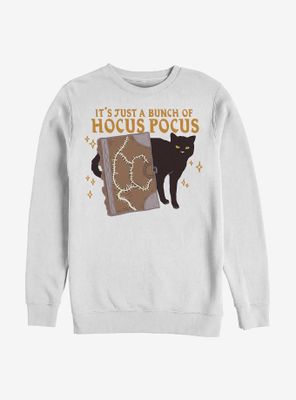 Disney Hocus Pocus Binx And Book Sweatshirt