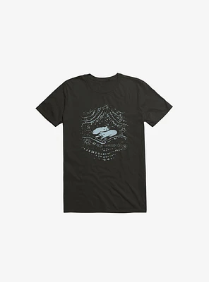 Winter Cats T-Shirt