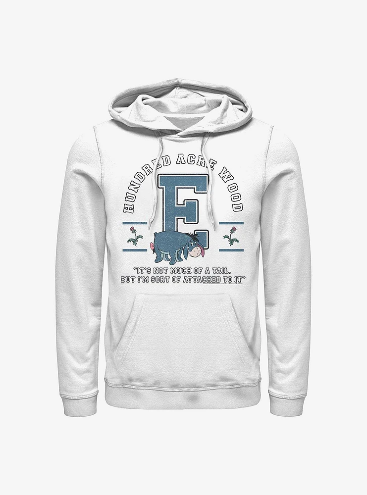 Disney Winnie The Pooh Eeyore Collegiate Hoodie