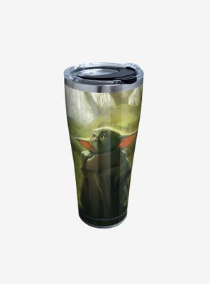 Star Wars The Mandalorian Child Gazing 30oz Stainless Steel Tumbler With Lid