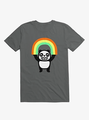 Panda Found A Rainbow Asphalt Grey T-Shirt