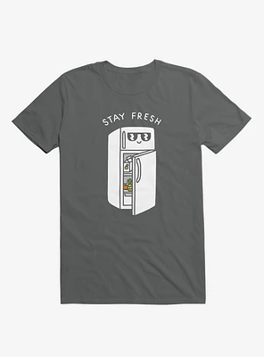 Stay Fresh Refrigerator Asphalt Grey T-Shirt