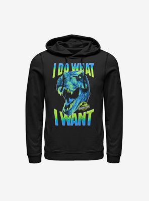 Jurassic Park What I Want Hoodie