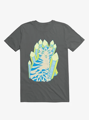Crystal Striped Cat Charcoal Grey T-Shirt