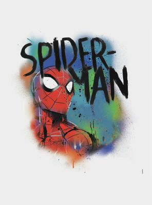 Marvel Spider-Man Classic Graffiti Burst Peel And Stick Giant Wall Decals