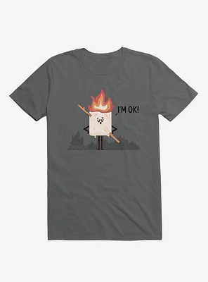 I'm OK! Campfire S'more Charcoal Grey T-Shirt
