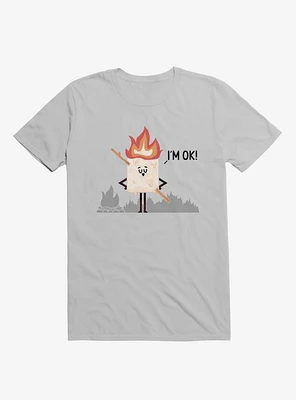 I'm OK! Campfire S'more Ice Grey T-Shirt