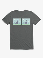 Dinosaur Meh-Teor Charcoal Grey T-Shirt