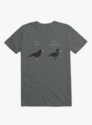 Know Your Birds A Crow Or Biker Bird Charcoal Grey T-Shirt