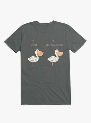 Know Your Birds A Pelican Or Goose Charcoal Grey T-Shirt