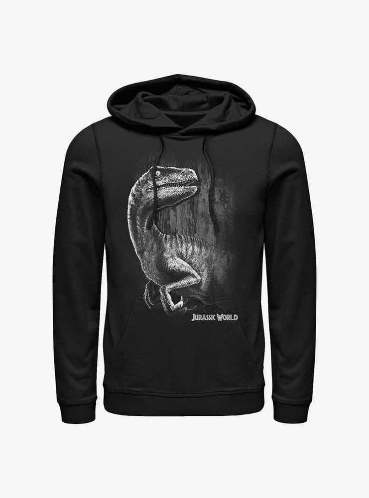 Jurassic Park Raptor Smile Hoodie