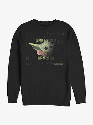 Star Wars The Mandalorian Unknown Species Child Sweatshirt