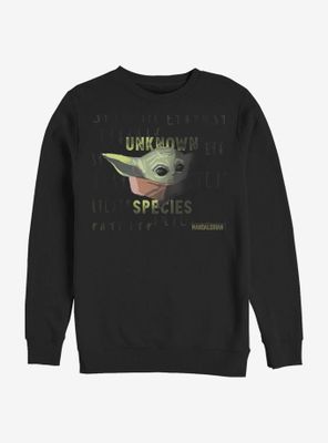 Star Wars The Mandalorian Unknown Species Sweatshirt