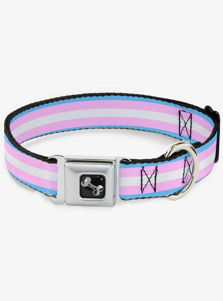 Transgender Flag Seatbelt Dog Collar