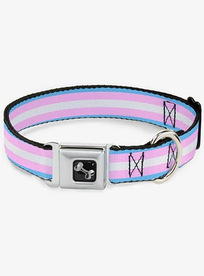 Transgender Flag Seatbelt Dog Collar