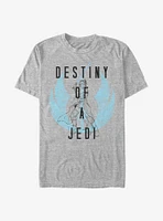 Star Wars: The Rise Of Skywalker Destiny A Jedi T-Shirt