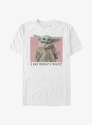 Star Wars The Mandalorian Child I Do What Want T-Shirt