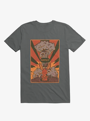 Perfect T-Shirt