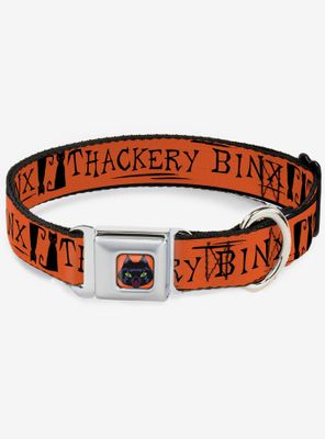 Hocus Pocus Thackery Binx Cat Silhouette Seatbelt Dog Collar