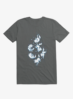 Winter Is Coming Charcoal Grey T-Shirt
