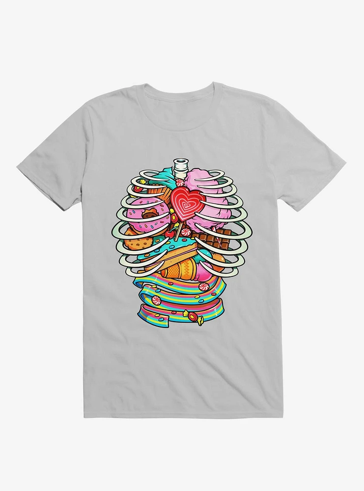 Unicorn Anatomy Sweet Inside Ice Grey T-Shirt