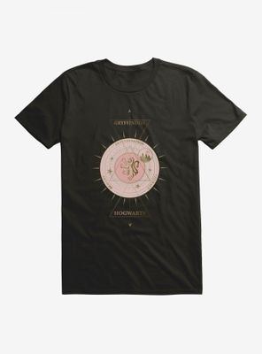Harry Potter Gryffindor House Christmas Constellation T-Shirt