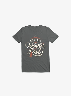 Not All Who Wander Are Lost Charcoal Grey T-Shirt