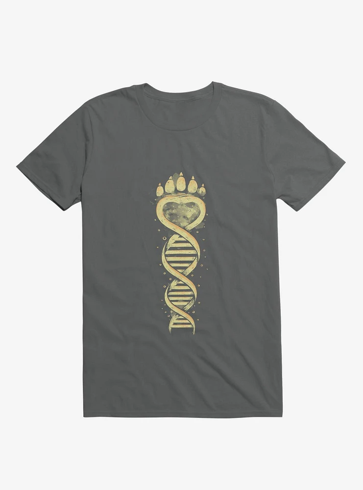 Bear DNA Charcoal Grey T-Shirt