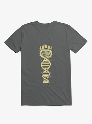 Bear DNA Charcoal Grey T-Shirt