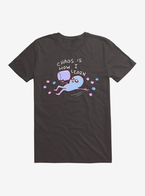 Strange Planet Chaos Is How I Learn T-Shirt