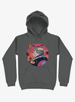 Samurai Cat Asphalt Grey Hoodie