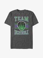 Marvel Hulk Team Incredible T-Shirt