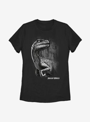 Jurassic World Raptor Smile Womens T-Shirt
