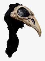 Crow Bird Helmet