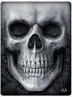 Solemn Skull Fleece Blanket