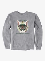 Avatar: the Last Airbender Momo Earthbender Sweatshirt