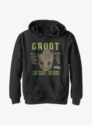 Marvel Guardians Of The Galaxy Groot Info Youth Hoodie