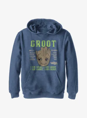 Marvel Guardians Of The Galaxy Groot Info Youth Hoodie