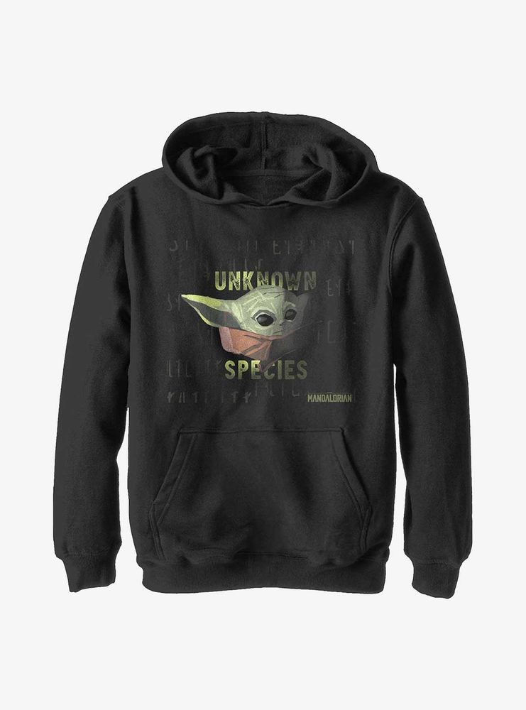 Star Wars The Mandalorian Unknown Species Youth Hoodie