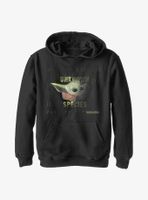 Star Wars The Mandalorian Unknown Species Youth Hoodie