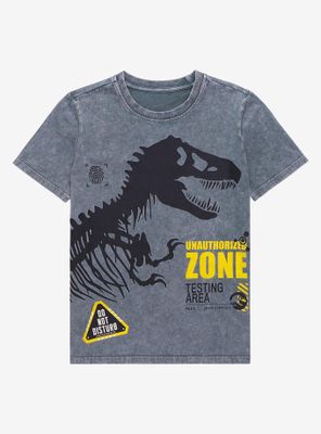 Jurassic Park Do Not Disturb Youth T-Shirt - BoxLunch Exclusive