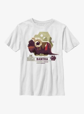 Star Wars Galaxy Of Creatures Bantha Species Youth T-Shirt