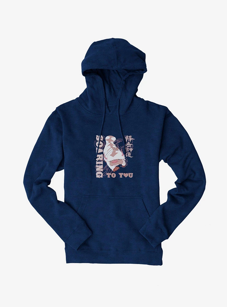 Avatar Soaring To You Hoodie