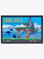 Sonic the Hedgehog Green Hill Framed Wood Wall Art