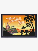 Sonic the Hedgehog Beautiful Zone Framed Wood Wall Art