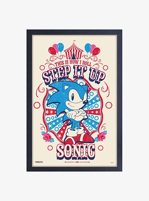 Sonic the Hedgehog Circus Framed Wood Wall Art