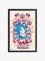 Sonic the Hedgehog Circus Framed Wood Wall Art