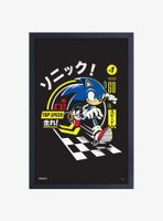 Sonic the Hedgehog Top speed Framed Wood Wall Art